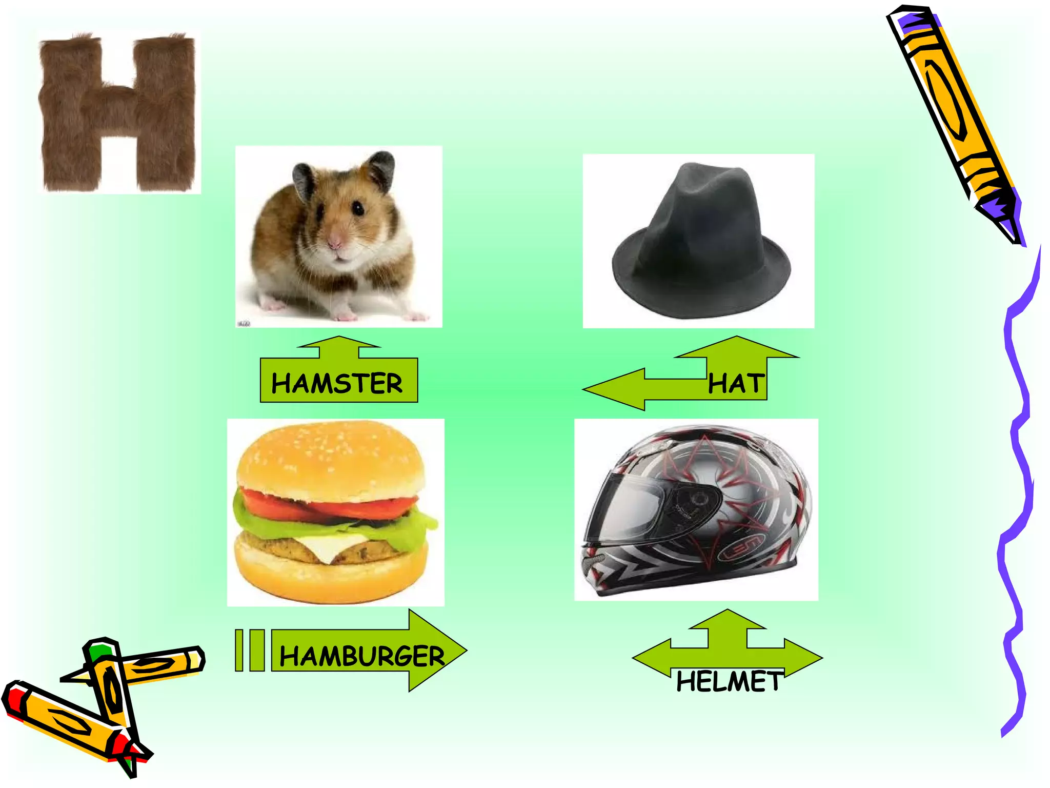 HAMSTER HAT HAMBURGER HELMET