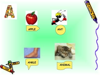 APPLE ANT ANCLE ANIMAL APPLE ANT ANKLE 
