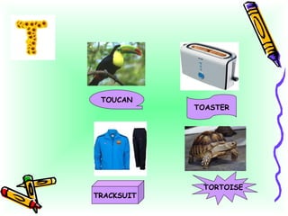 TOUCAN TOASTER TRACKSUIT TORTOISE 
