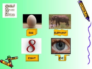 EGG ELEPHANT EIGHT EYE 
