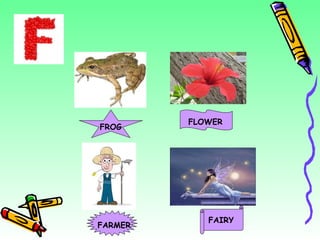 FROG FLOWER FARMER FAIRY 