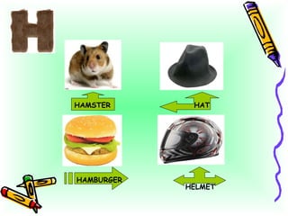 HAMSTER HAT HAMBURGER HELMET 