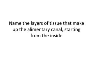 Name the layers of tissue that make
 up the alimentary canal, starting
          from the inside
 