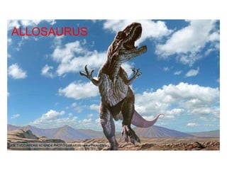 ALLOSAURUS 