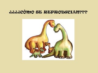 ¿¿¿¿CÓMO SE REPRODUCIAN??? 