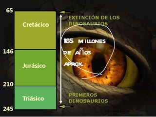 165 millones de años aprox. 165 millones de años aprox. La Ciencia de la Vida http://biogeocarlos.blogspot.com 