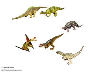 La Ciencia de la Vida http://biogeocarlos.blogspot.com 