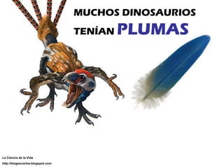 MUCHOS DINOSAURIOS TENÍAN  PLUMAS La Ciencia de la Vida http://biogeocarlos.blogspot.com 
