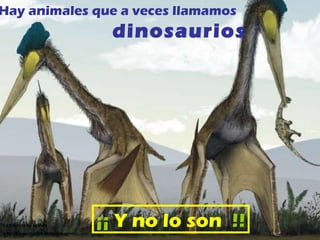 Hay animales que a veces llamamos dinosaurios ¡¡   Y no lo son   !! La Ciencia de la Vida http://biogeocarlos.blogspot.com 