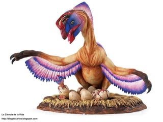 La Ciencia de la Vida http://biogeocarlos.blogspot.com 