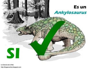 SI Es un  Ankylosaurus SI La Ciencia de la Vida http://biogeocarlos.blogspot.com 