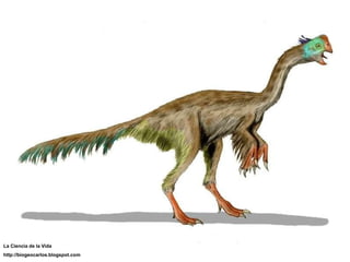 La Ciencia de la Vida http://biogeocarlos.blogspot.com 