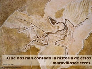 … Que nos han contado la historia de estos maravillosos seres. La Ciencia de la Vida http://biogeocarlos.blogspot.com 