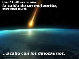 Hace 65 millones de años,  Hace 65 millones de años, la caída de un meteorito, entre otras causas, … acabó con los dinosau...