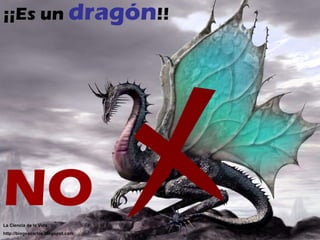 ¡¡Es un  dragón !! NO La Ciencia de la Vida http://biogeocarlos.blogspot.com 