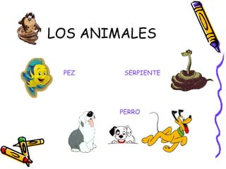 LOS ANIMALES PEZ PERRO SERPIENTE 