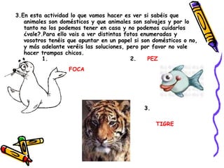 3.En esta actividad lo que vamos hacer es ver si sabéis que animales son domésticos y que animales son salvajes y por lo tanto no los podemos tener en casa y no podemos cuidarlos ¿vale?.Para ello vais a ver distintas fotos enumeradas y vosotros tenéis que apuntar en un papel si son domésticos o no, y más adelante veréis las soluciones, pero por favor no vale hacer trampas chicos. FOCA PEZ TIGRE 1. 2. 3. 