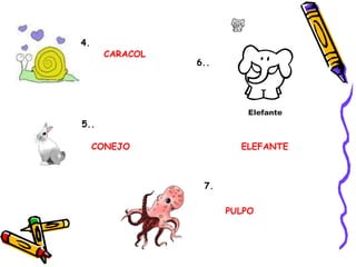 CARACOL ELEFANTE CONEJO PULPO 4. 5.. 6.. 7. 