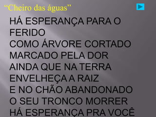 “Cheiro das águas”
 HÁ ESPERANÇA PARA O
 FERIDO
 COMO ÁRVORE CORTADO
 MARCADO PELA DOR
 AINDA QUE NA TERRA
 ENVELHEÇA A RAIZ
 E NO CHÃO ABANDONADO
 O SEU TRONCO MORRER
 HÁ ESPERANÇA PRA VOCÊ
 