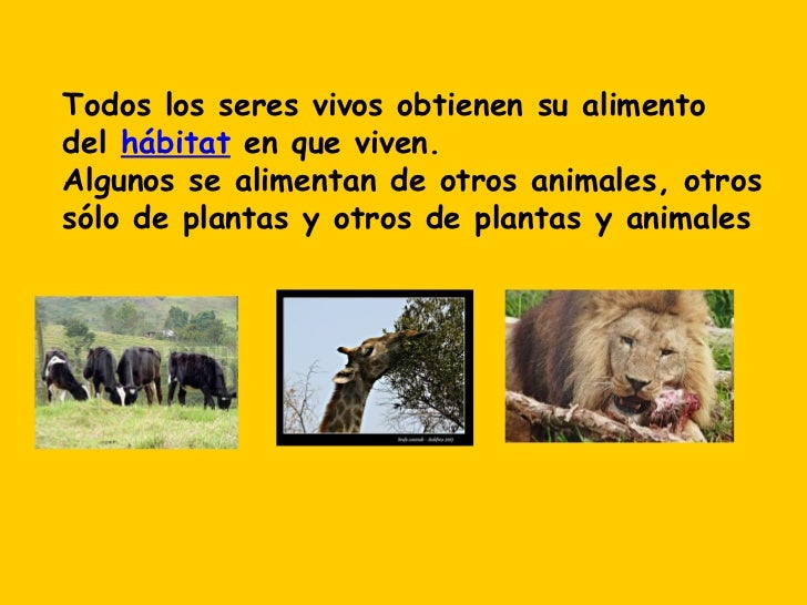 Power Point Dónde Viven Los Animales Segundo AñO BáSico