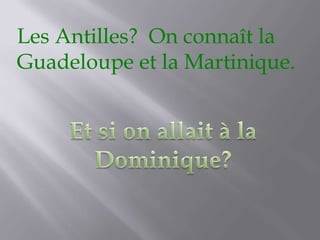 Les Antilles?  On connaît la Guadeloupe et la Martinique.,[object Object],Et si on allait à la Dominique?,[object Object]