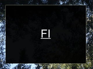 AFRODITA Era la deessa de l'amor, la bellesa i el matrimoni.  