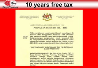 10 years free taxEasy Pha-max