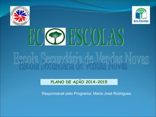 PLANO DE AÇÃO 2014-2015
Responsável pelo Programa: Maria José Rodrigues
 