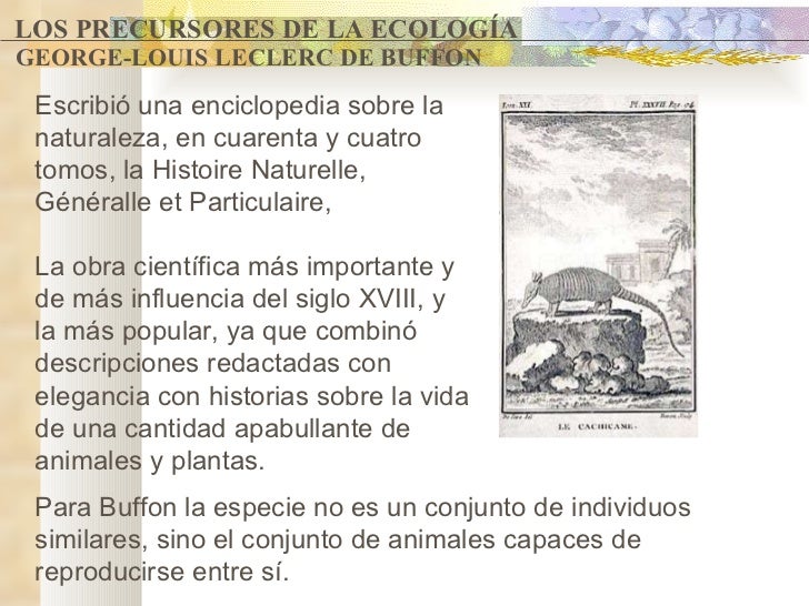 Power point ecologia