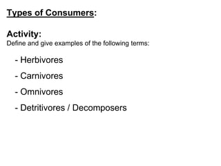 Power point ecology activity, biology corner | PPTX