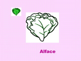 Alface
 