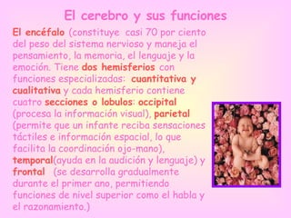 El cerebro y sus funciones El encéfalo  (constituye  casi 70 por ciento del peso del sistema nervioso y maneja el pensamiento, la memoria, el lenguaje y la emoción. Tiene  dos hemisferios  con funciones especializadas:  cuantitativa y cualitativa  y cada hemisferio contiene cuatro  secciones o lobulos :  occipital  (procesa la información visual),  parietal  (permite que un infante reciba sensaciones táctiles e información espacial, lo que facilita la coordinación ojo-mano),  temporal (ayuda en la audición y lenguaje) y  frontal  (se desarrolla gradualmente durante el primer ano, permitiendo funciones de nivel superior como el habla y el razonamiento.) 