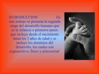 INTRODUCCION  En este trabajo se presenta la segunda etapa del desarrollo humano que es la infancia o primeros pasos que incluye desde el nacimiento hasta los 3 años de edad y se incluye los dominios del desarrollo, los cuales son cognoscitivo, físico y psicosocial. 