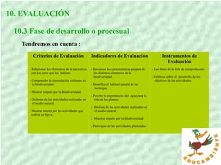 10. EVALUACIÓN
10.3 Fase de desarrollo o procesual
Tendremos en cuenta :
Criterios de Evaluación Indicadores de Evaluación Instrumentos de
Evaluación
- Relacionar los elementos de la naturaleza
con los seres que los habitan.
- Comprender la interrelación existente en
la biodiversidad.
- Mostrar respeto por la Biodiversidad.
- Disfrutar de las actividades realizadas en
el medio natural.
- Mostrar interés por las actividades que
realiza su hijo/a.
- Reconoce las características propias de
los distintos elementos de la
biodiversidad.
- Identifica el habitad natural de las
hormigas.
- Percibe la importancia del agua para la
vida de las plantas.
- Disfruta de las actividades realizadas en
el medio natural.
- Muestra respeto por la Biodiversidad.
- Participan de las actividades planteadas.
- Los datos de la lista de comprobación
- Gráficos sobre el desarrollo de los
objetivos de las actividades.
 