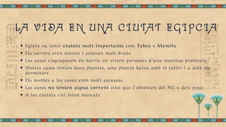 LA VIDA EN UNA CIUTAT EGIPCIA
Egipte va tenir ciutats molt importants com Tebes o Memfis
Els carrers eren estrets i estaven molt bruts
Les cases s'agrupaven en barris on vivien persones d'una mateixa professió
Moltes cases tenien dues plantes, una planta baixa amb el taller i a dalt els
dormitors
Els mobles a les cases eren molt escassos
Les cases no tenien aigua corrent sinó que l'obtenien del Nil o dels pous
A les ciutats s'hi feien mercats
 