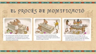 EL PROCÉS DE MOMIFICACIÓ
 