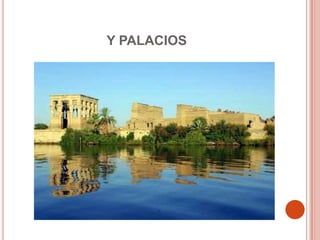 Y PALACIOS
 