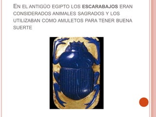 EN EL ANTIGÜO EGIPTO LOS ESCARABAJOS ERAN
CONSIDERADOS ANIMALES SAGRADOS Y LOS
UTILIZABAN COMO AMULETOS PARA TENER BUENA
SUERTE