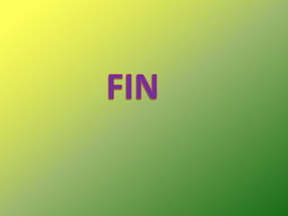 FIN