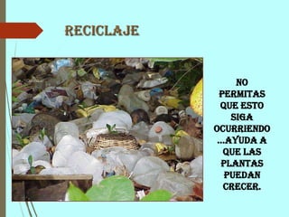 Reciclaje
No
permitas
que esto
siga
ocurriendo
…ayuda a
que las
plantas
puedan
crecer.
 