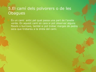5.El camí dels polvorers o de les
Obagues
 És un camí antic pel qual passa una part de l’anella
verda. En aquest camí en cara si pot observar alguns
fòssils o burrows, també si pot trobar marges de pedra
seca que trobareu a la dreta del camí.
 