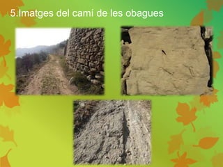 5.Imatges del camí de les obagues
 