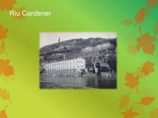 Riu Cardener
 