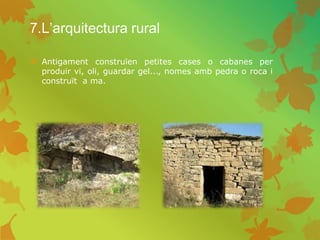 7.L’arquitectura rural
 Antigament construïen petites cases o cabanes per
produir vi, oli, guardar gel..., nomes amb pedra o roca i
construït a ma.
 