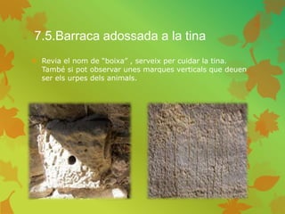 7.5.Barraca adossada a la tina
 Revia el nom de “boixa” , serveix per cuidar la tina.
També si pot observar unes marques verticals que deuen
ser els urpes dels animals.
 