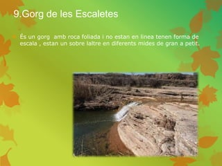 9.Gorg de les Escaletes
 És un gorg amb roca foliada i no estan en linea tenen forma de
escala , estan un sobre laltre en diferents mides de gran a petit.
 
