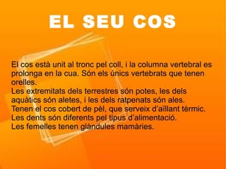 EL SEU COS

El cos està unit al tronc pel coll, i la columna vertebral es
prolonga en la cua. Són els únics vertebrats que tenen
orelles.
Les extremitats dels terrestres són potes, les dels
aquàtics són aletes, i les dels ratpenats són ales.
Tenen el cos cobert de pèl, que serveix d’aïllant tèrmic.
Les dents són diferents pel tipus d’alimentació.
Les femelles tenen glàndules mamàries.
 