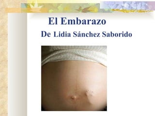 El Embarazo De   Lidia Sánchez Saborido 