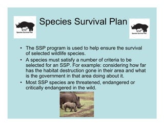 Species Survival Plan

• The SSP program is used to help ensure the survival
  of selected wildlife species.
• A species must satisfy a number of criteria to be
  selected for an SSP. For example: considering how far
  has the habitat destruction gone in their area and what
  is the government in that area doing about it.
• Most SSP species are threatened, endangered or
  critically endangered in the wild.
 