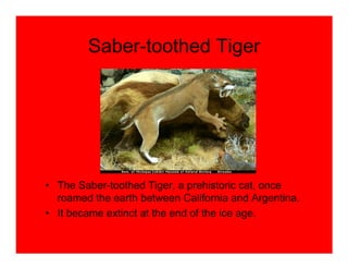 Saber-toothed Tiger




• The Saber-toothed Tiger, a prehistoric cat, once
  roamed the earth between California and Argentina.
• It became extinct at the end of the ice age.
 